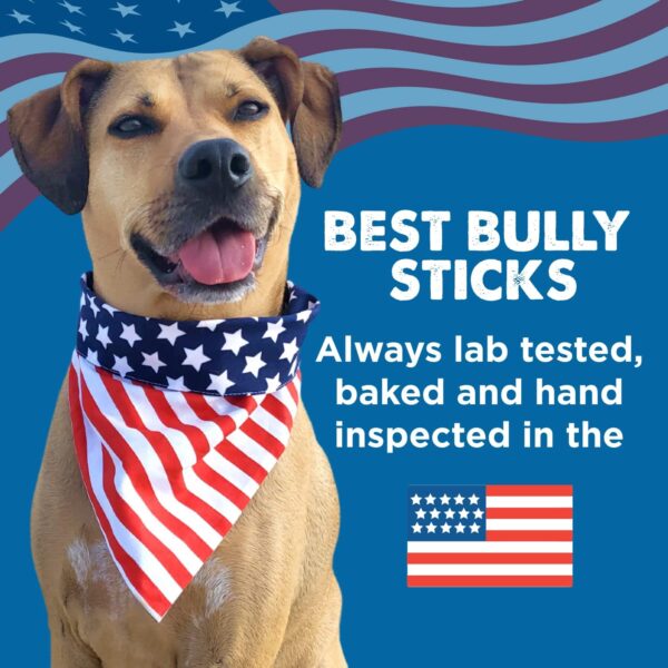 Best Bully Sticks 2-4 Inch Junior Bully Sticks for Dogs - 8 oz (Pack of 1) - Natural Grass-Fed Beef, Grain and Rawhide Free, Small Breeds, Puppies - Image 8