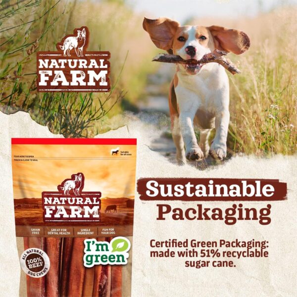 Natural Farm Odor-Free Bully Sticks (6 Inch, 15 Count), Single Ingredient: 100% Beef Chews, Grass-Fed, Non-GMO, Grain-Free, Fully Digestible Treats for Puppies, Small or Senior Dog - Image 8