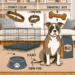From Collars to Crates: Must-Have Items for New Bully Dog Parents