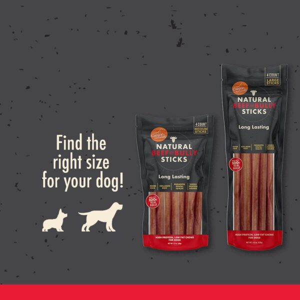 Canine Naturals | Natural Beef & Bully Sticks | Long-Lasting, Odor Free, High Protein Chews Made with 100% Real Bully | 4 Count Medium Sticks - Image 4