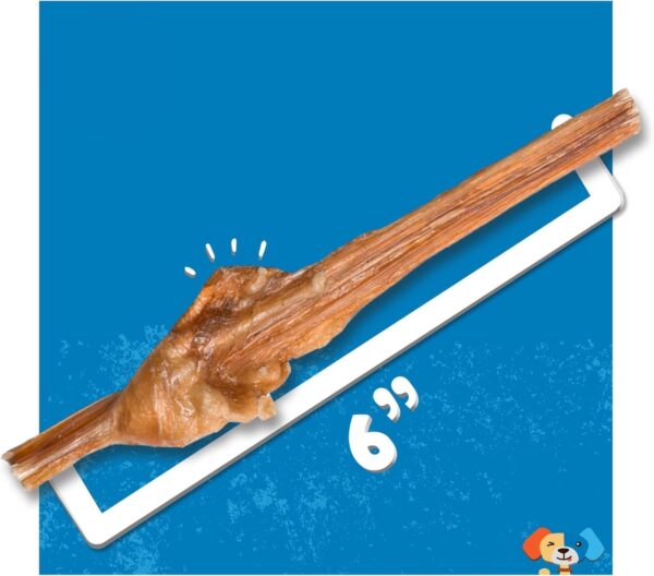 Jack&Pup 6 Inch Baby Bully Stick Dog Chew | Single Ingredient, Natural Puppy Treat Chews - Great for Teething Puppies (5 Pack) - Image 4