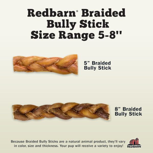 Redbarn Pet Products All Natural 5-8" Braided Bully Sticks for Small & Large Dogs - Healthy Long Lasting Beef Chews Variety Party Pack - Single Ingredient Low Odor Rawhide Free - 8 oz Bag - Image 6