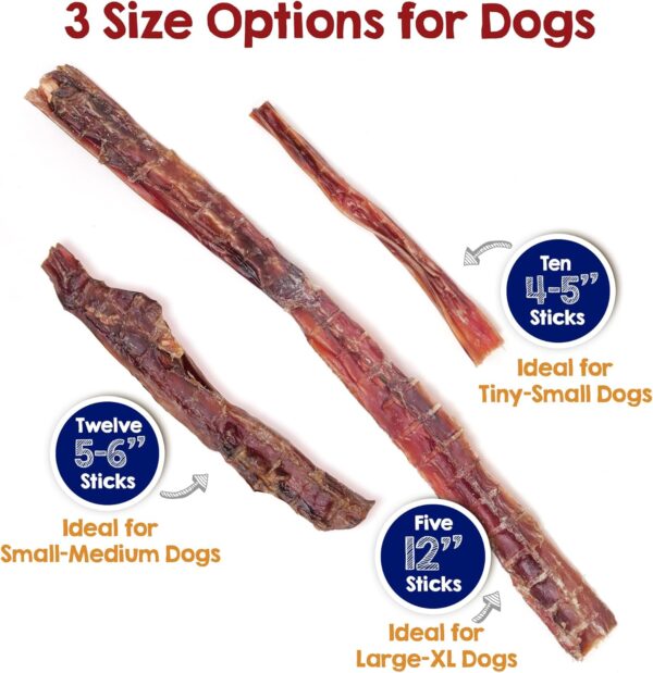 Riley's Steer Bully Sticks for Large to XL Dog Breeds - Odor Free, Single Ingredient Treat - Easily Digestible, 100% Beef Pizzle Sticks for Dogs - 12", 5ct - Image 4