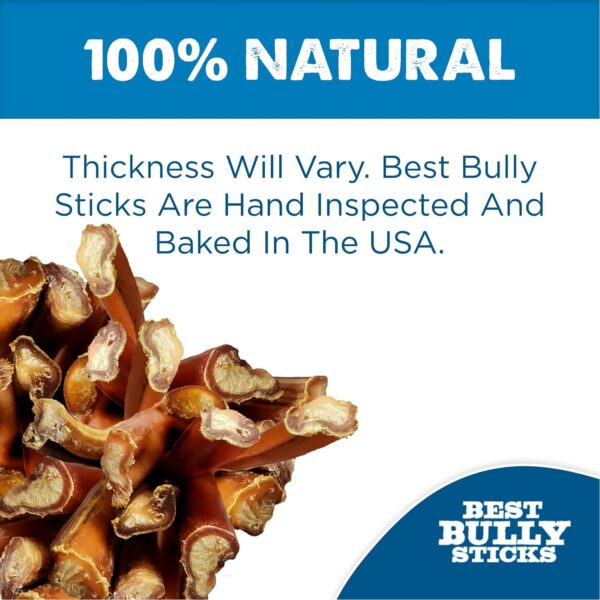 Best Bully Sticks 2-4 Inch Junior Bully Sticks for Dogs - 8 oz (Pack of 1) - Natural Grass-Fed Beef, Grain and Rawhide Free, Small Breeds, Puppies - Image 3