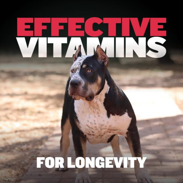 Bully Max 9-in-1 Dog Chews & Multivitamin Treats for Puppy & Adult Dogs - 75 Soft Chews, Dog Supplements & Vitamins for All Breeds - Skin, Coat, Brain, Heart, Digestive Health, Immunity, Joint Support - Image 6