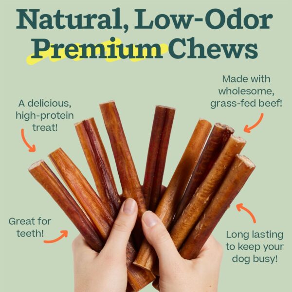 WOOF Bully Sticks Dog Treats - Chew Sticks for Dogs - Long-Lasting Dog Chew Treats - Dog Products Made with Free-Range, Grass-Fed Beef - 6" Sticks - 5pk - Image 5