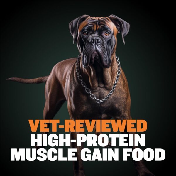 Bully Max Wet Puppy Food - Instant Fresh Dehydrated High Protein Soft Dog Food with Chicken - Healthy Growth for Small & Large Breed Puppies - 2 Dry Dog Food Pounds (Makes 5.5 lbs. of Wet Food) - Image 9