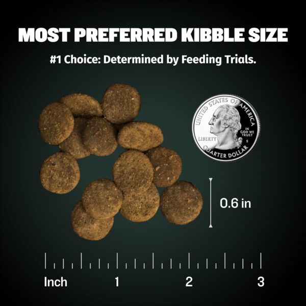 Bully Max Puppy Food 24/14 High Protein & Growth Formula - Dry Dog Food with Lamb and Rice for Small Dogs and Large Breed Puppies - Natural, Slow-Cooked, Sensitive Stomach Pet Food, 5-Pound Bag - Image 7