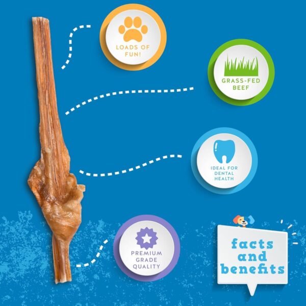 Jack&Pup 6 Inch Baby Bully Stick Dog Chew | Single Ingredient, Natural Puppy Treat Chews - Great for Teething Puppies (5 Pack) - Image 3