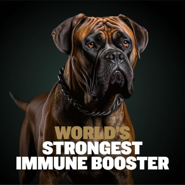 Bully Max 11-in-1 Muscle Gain Power Chews - High Protein Dog Supplement with Amino Acids - Healthy Treats for Puppy & Adult Dogs - Premium Muscle Builder for All Breeds - 75 Tasty Soft Dog Chews - Image 3
