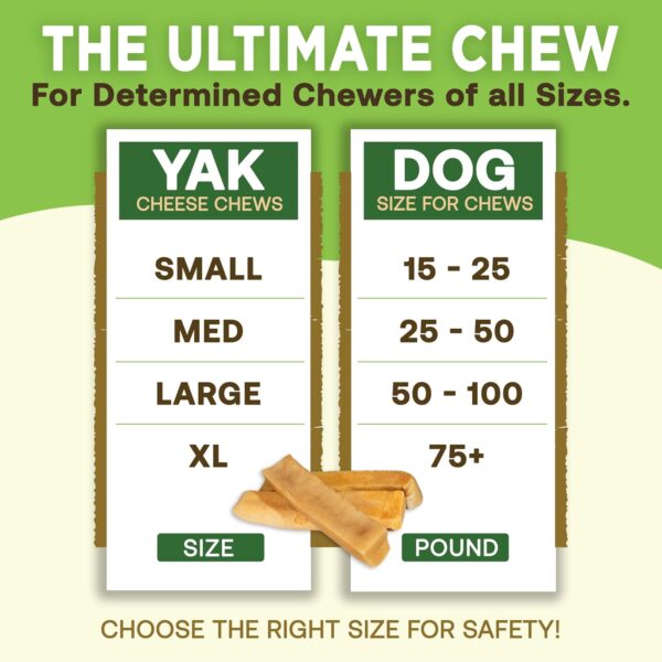 EcoKind Premium Gold Yak Cheese Himalayan Dog Chews, Dog Treats Large Breed, All Natural, High Protein, for Aggressive Chewers, Large - 4 Chews (1 lb) - Image 4
