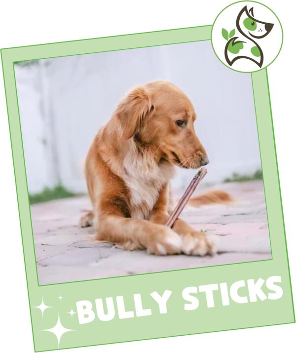 Nature Gnaws Bully Sticks for Dogs 11-12" (8oz) - Mixed Thickness - Long Lasting for Aggressive Chewers and Large Dogs - Natural Beef Dog Chew Bones - Image 7