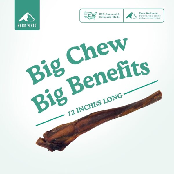 BARK'N BIG 12 Inch Monster Bully Sticks for Large Dogs - Colossal Bullarge Size - Made in USA - Single Ingredient Dog Chew - Super Premium Pizzle Sticks - Jumbo Beef Pizzles for Large Breeds - 1 ct - Image 4