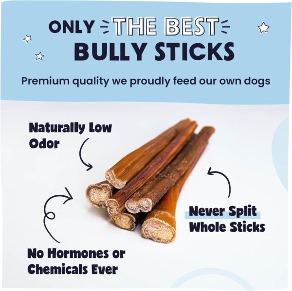 Pawstruck Natural 5-8" Bully Sticks for Dogs - Best Long-Lasting, Rawhide-Free, Low Odor Dental Chew Treat - Healthy Single Ingredient, 100% Real Beef - 8 oz Bag - Packaging May Vary - Image 3