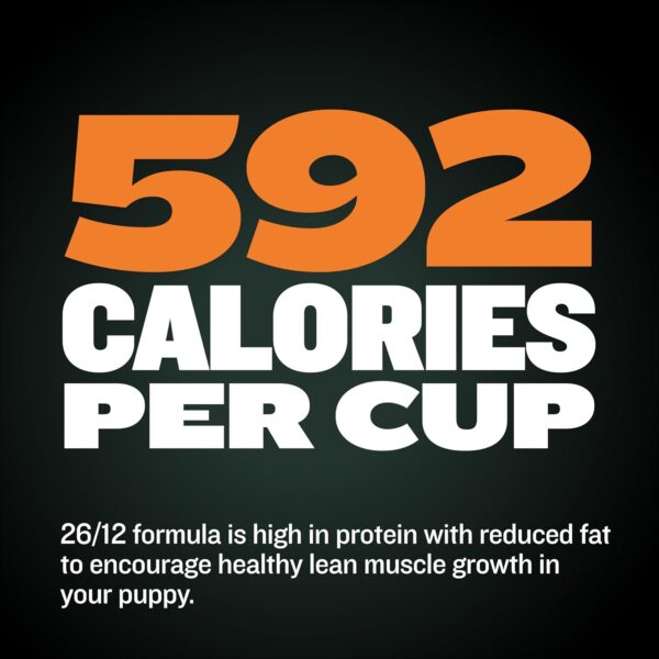 Bully Max Wet Dog Food for Adults & Puppies - Dehydrated High Protein Instant Fresh Soft Dog Food with Chicken - Healthy Muscle Growth for Small & Large Breeds - 2 Dry Pounds (Makes 5.5 lbs. Wet Food) - Image 8
