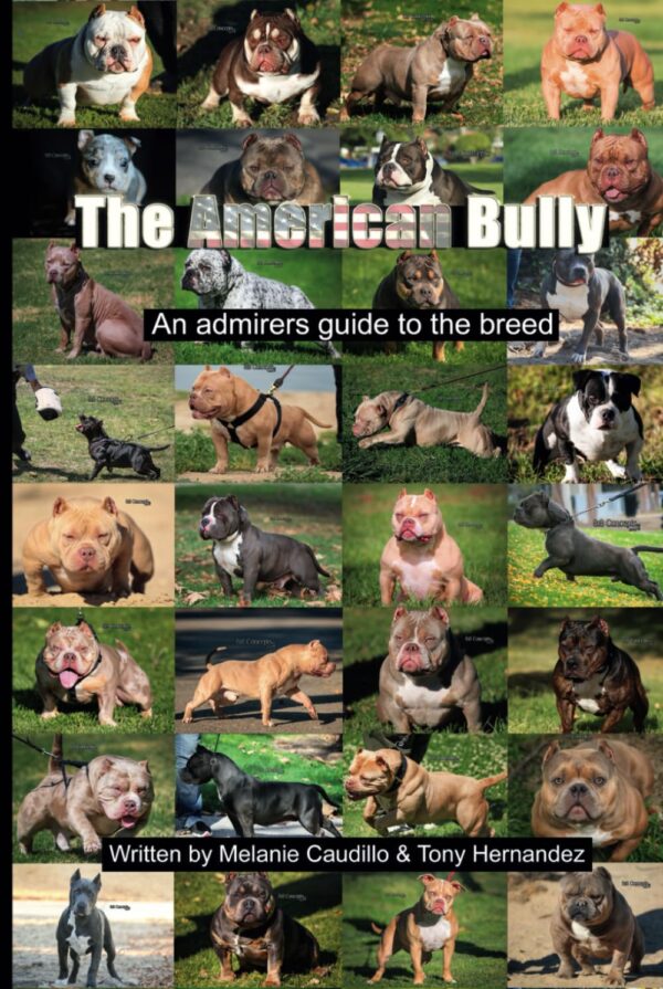 The American Bully : An admirers guide to the breed