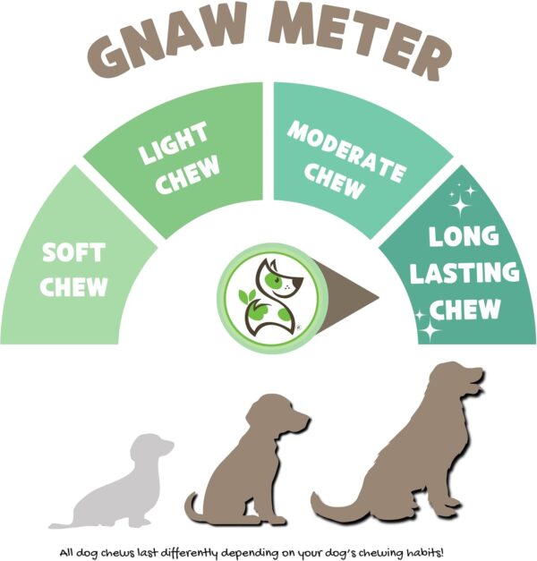 Nature Gnaws Bully Sticks for Dogs 11-12" (8oz) - Mixed Thickness - Long Lasting for Aggressive Chewers and Large Dogs - Natural Beef Dog Chew Bones - Image 3
