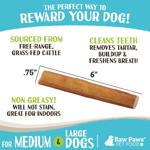 Raw Paws Jumbo Bully Sticks, 6" (5 Pack) - Extra Thick for Medium to Large Breeds - No Added Hormones, Free Range Cows - Pizzle Sticks for Dogs - Long Lasting Chews for Aggressive Chewers - Image 3
