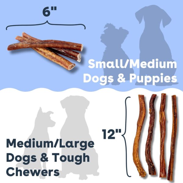 Pupford Thick Bully Sticks for Dogs & Puppies, Smoked for Improved Smell, Natural, Long-Lasting, Single Ingredient Chews for Small & Medium Breeds (6", 20 Count) - Image 6