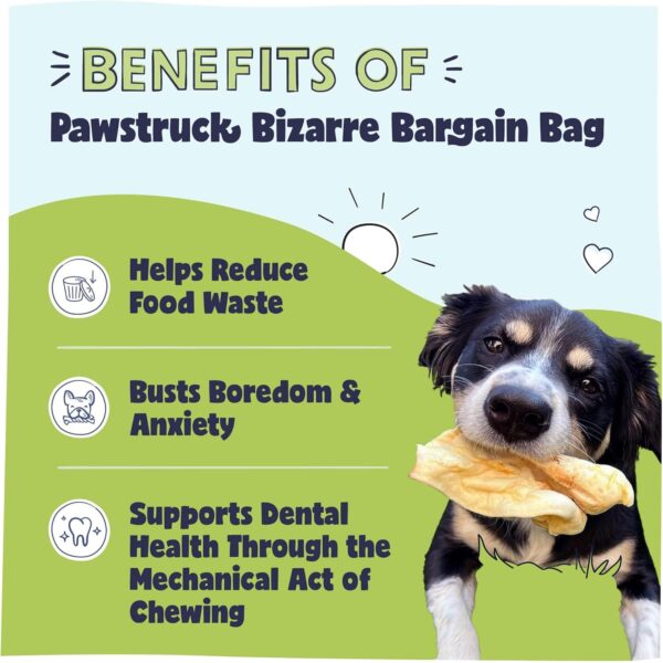 Pawstruck Bizarre Bargain Bag Assorted Natural Dog Chew Treats - Animal Ears, Jerky, Bones, Hooves, Beef Straps - Long Lasting Rawhide Alternative for Chewers, All Breeds - 1 lb, Packaging May Vary - Image 2