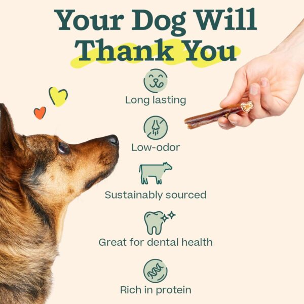 WOOF Bully Sticks Dog Treats - Chew Sticks for Dogs - Long-Lasting Dog Chew Treats - Dog Products Made with Free-Range, Grass-Fed Beef - 6" Sticks - 5pk - Image 4