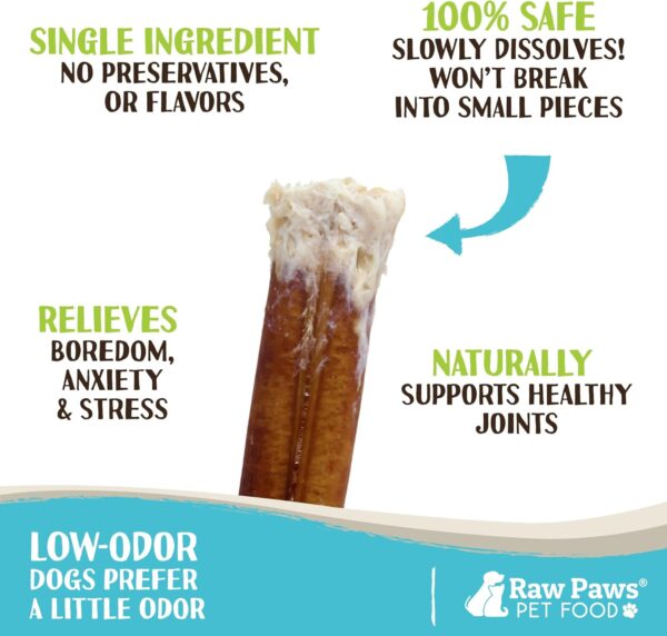 Raw Paws Jumbo Bully Sticks, 6" (5 Pack) - Extra Thick for Medium to Large Breeds - No Added Hormones, Free Range Cows - Pizzle Sticks for Dogs - Long Lasting Chews for Aggressive Chewers - Image 2