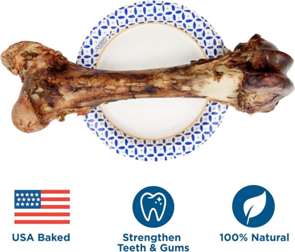 Best Bully Sticks Meaty Monster Jumbo Bone - Single Count (Pack of 1) - USA Baked, All-Natural, 100% Grass-Fed Femur, Supports Dental Health - Image 4