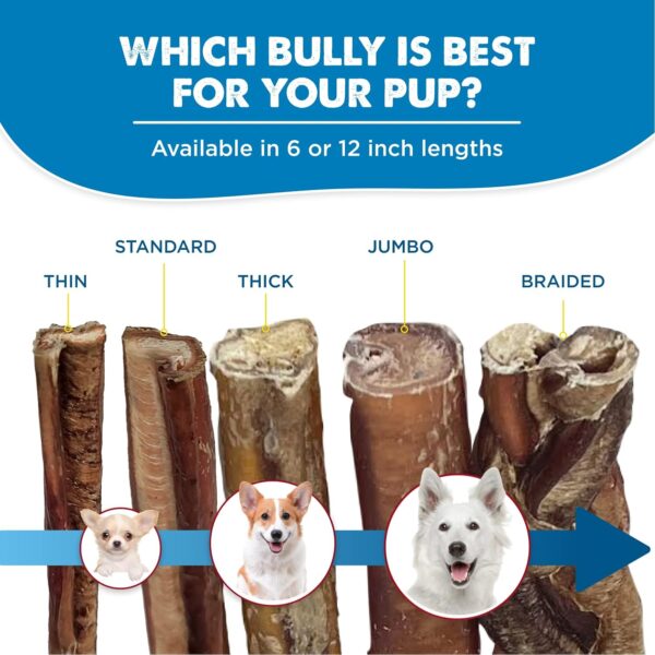 Best Bully Sticks 2-4 Inch Junior Bully Sticks for Dogs - 8 oz (Pack of 1) - Natural Grass-Fed Beef, Grain and Rawhide Free, Small Breeds, Puppies - Image 5