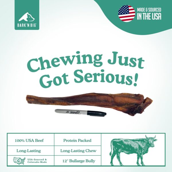 BARK'N BIG 12 Inch Monster Bully Sticks for Large Dogs - Colossal Bullarge Size - Made in USA - Single Ingredient Dog Chew - Super Premium Pizzle Sticks - Jumbo Beef Pizzles for Large Breeds - 1 ct - Image 2