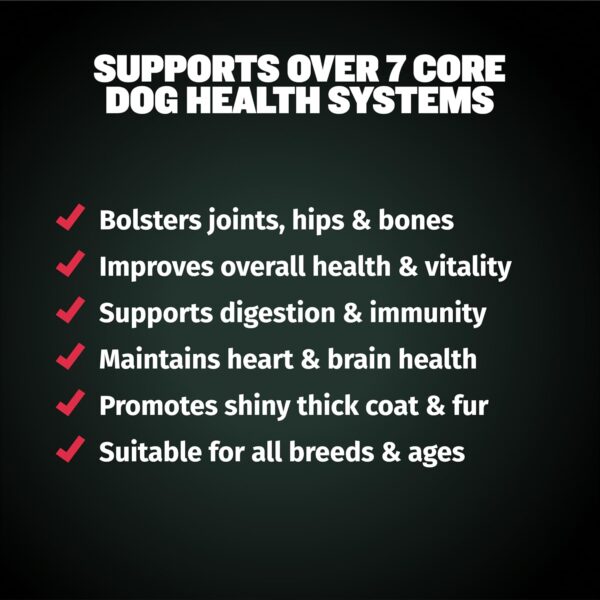 Bully Max 7-in-1 Dog Multivitamin Powder with Omega 3, 6, Glucosamine & Chondroitin for Immune System, Digestive & Joint Health - Food Topper, Vitamins & Supplements for Puppy & Adult Dogs, 13Oz Bag - Image 2