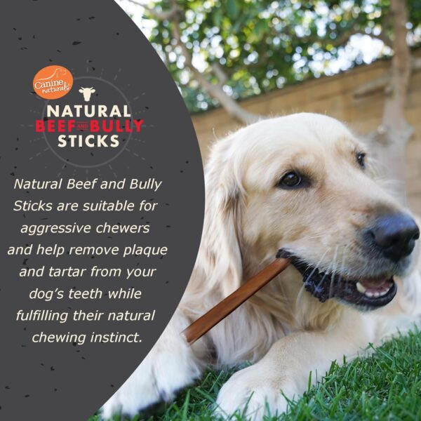 Canine Naturals | Natural Beef & Bully Sticks | Long-Lasting, Odor Free, High Protein Chews Made with 100% Real Bully | 4 Count Medium Sticks - Image 2