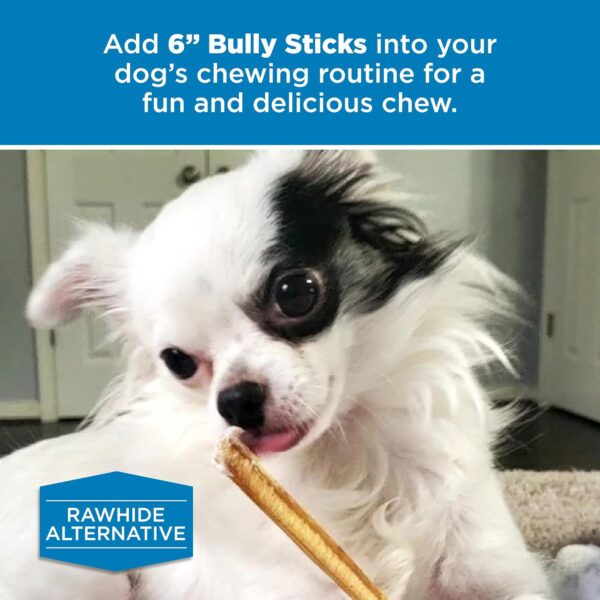 Best Bully Sticks 6 Inch Bully Sticks - 8 oz (Pack of 1) - Natural Grass-Fed, Grain and Rawhide Free, Great for Medium or Large Pets - Image 6