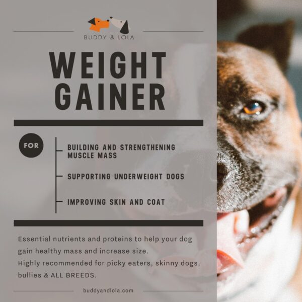 Buddy & Lola Dog Weight Gainer - Dog Supplement for Weight Gain - Dog Protien Powder for Max Muscle Builder, High Calorie Supplement for All Dogs & Breeds inc Bully. Pro Food Topper - Made in The USA - Image 3