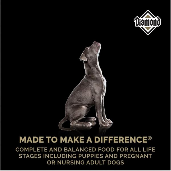 Diamond Premium Puppy is a Complete and Balanced Dry Dog Food Formula with Protein, Probiotics, and Healthy Fat That Provide High Nutritional Value in Growing Puppies 20lb - Image 5