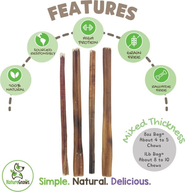 Nature Gnaws Bully Sticks for Dogs 11-12" (8oz) - Mixed Thickness - Long Lasting for Aggressive Chewers and Large Dogs - Natural Beef Dog Chew Bones - Image 2