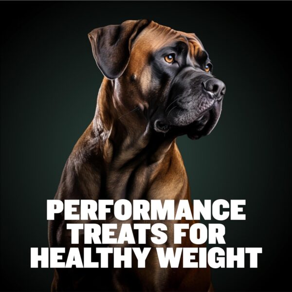 Bully Max Weight Gainer Dog Chews for Puppies and Adult Dogs - High Calorie Dog Food Treats Performance Supplement for Healthy Weight Gain, Immunity & Digestion - 75 Soft Chews for All Breeds, 2 Packs - Image 3