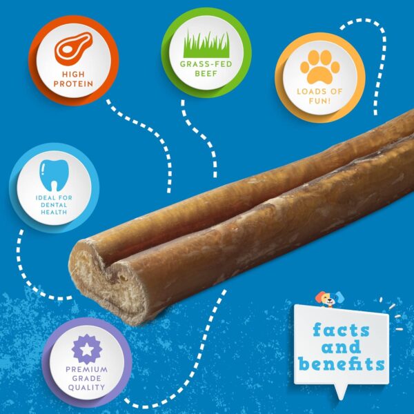 Jack&Pup Thick Bully Sticks 12 Inch Premium Dog Bully Sticks for Large Dogs Aggressive Chewers - All Natural Bully Sticks Odor Free 12" Large Bully Sticks, Long Lasting Dog Chews Bully Stick (5 Pack) - Image 2