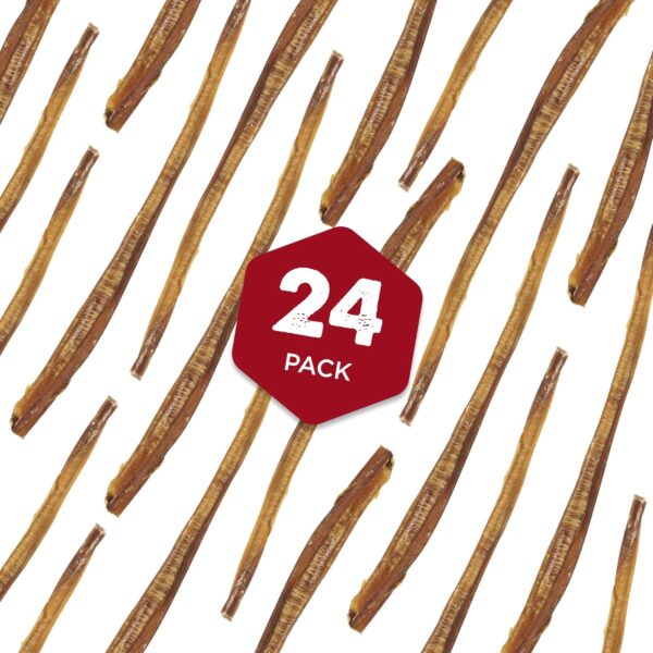 Best Bully Sticks 12 Inch Thin Bully Sticks for Dogs - 24 Count (Pack of 1) - Natural Grain and Rawhide Free, Puppies, Seniors, Small Breeds - Image 4