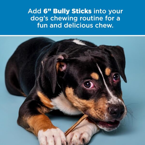 Best Bully Sticks 6 Inch Bully Sticks - 25 Count (Pack of 1) - Natural, Easily Digestible, 100% Grass-Fed, Grain and Rawhide Free - Image 6