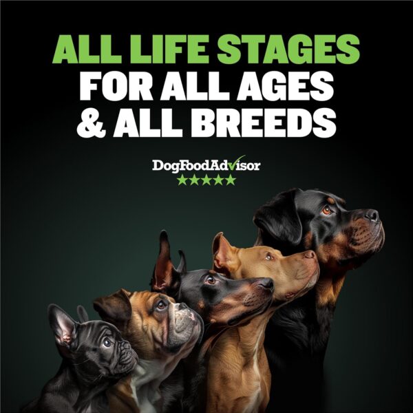 Bully Max 25/11 High Protein & Low Fat Dry Lamb Dog Food for Puppies and Adult Dogs - Chicken-Free Lamb Flavor - Natural Puppy Food for All Ages, Small and Large Breeds - Large Kibble Size, 5 lb. Bag - Image 2