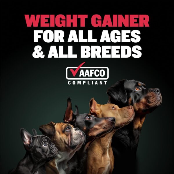 Bully Max Dog Weight Gainer - High Calorie Treats for Puppies and Adults - Dog Food Performance Supplement for Healthy Weight Gain & Immunity, 75 Soft Chews for Small, Medium & Large Breed - 300g - Image 3