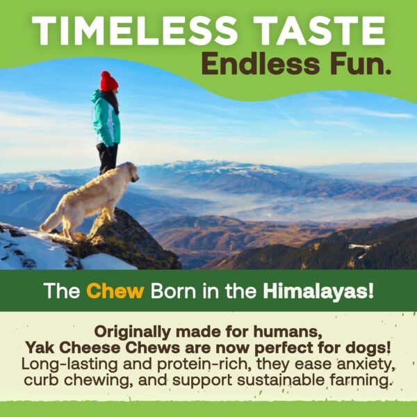 EcoKind Premium Gold Yak Cheese Himalayan Dog Chews, Dog Treats Large Breed, All Natural, High Protein, for Aggressive Chewers, Large - 4 Chews (1 lb) - Image 7