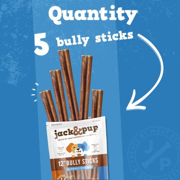 Jack&Pup Thick Bully Sticks 12 Inch Premium Dog Bully Sticks for Large Dogs Aggressive Chewers - All Natural Bully Sticks Odor Free 12" Large Bully Sticks, Long Lasting Dog Chews Bully Stick (5 Pack) - Image 3