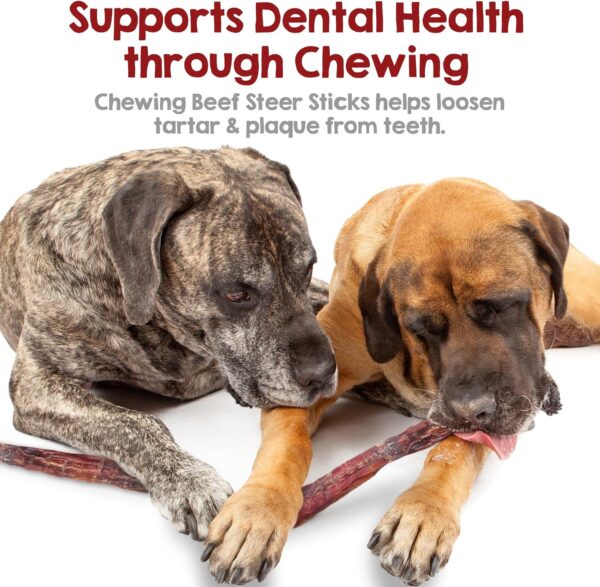 Riley's Steer Bully Sticks for Large to XL Dog Breeds - Odor Free, Single Ingredient Treat - Easily Digestible, 100% Beef Pizzle Sticks for Dogs - 12", 5ct - Image 5