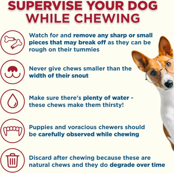 Best Bully Sticks Marrow Bones - 3 Count (Pack of 1) - USA Packed, Healthy Snack, Grass-Fed Beef, Long-Lasting, Great for Large Breeds - Image 5