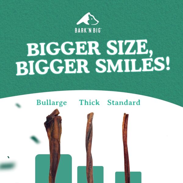 BARK'N BIG 12 Inch Monster Bully Sticks for Large Dogs - Colossal Bullarge Size - Made in USA - Single Ingredient Dog Chew - Super Premium Pizzle Sticks - Jumbo Beef Pizzles for Large Breeds - 1 ct - Image 5