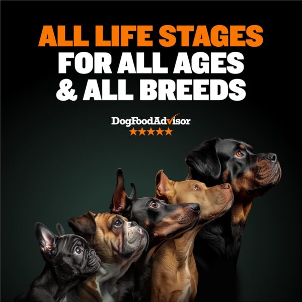 Bully Max Dry Dog Food for Adults & Pupppies - High Protein & Fat for Muscle & Weight Gain - High Performance Dog Food Supplements - Small & Large Breed Dogs (535 Calories Per Cup), Chicken, 5lb Bag - Image 2