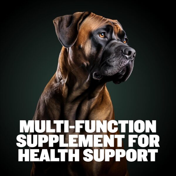 Bully Max 9-in-1 Dog Chews & Multivitamin Treats for Puppy & Adult Dogs - 75 Soft Chews, Dog Supplements & Vitamins for All Breeds - Skin, Coat, Brain, Heart, Digestive Health, Immunity, Joint Support - Image 3