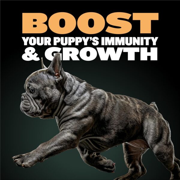 Bully Max Wet Puppy Food - Instant Fresh Dehydrated High Protein Soft Dog Food with Chicken - Healthy Growth for Small & Large Breed Puppies - 2 Dry Dog Food Pounds (Makes 5.5 lbs. of Wet Food) - Image 2