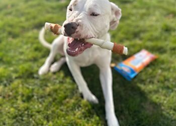 Cadet Gourmet Shish Kabob Dog Treats for Large Dogs, Healthy & Natural Chicken & Sweet Potato Chew Sticks, Beef Hide, Extra Large 10 Inch, 4 Count (Pack of 1)